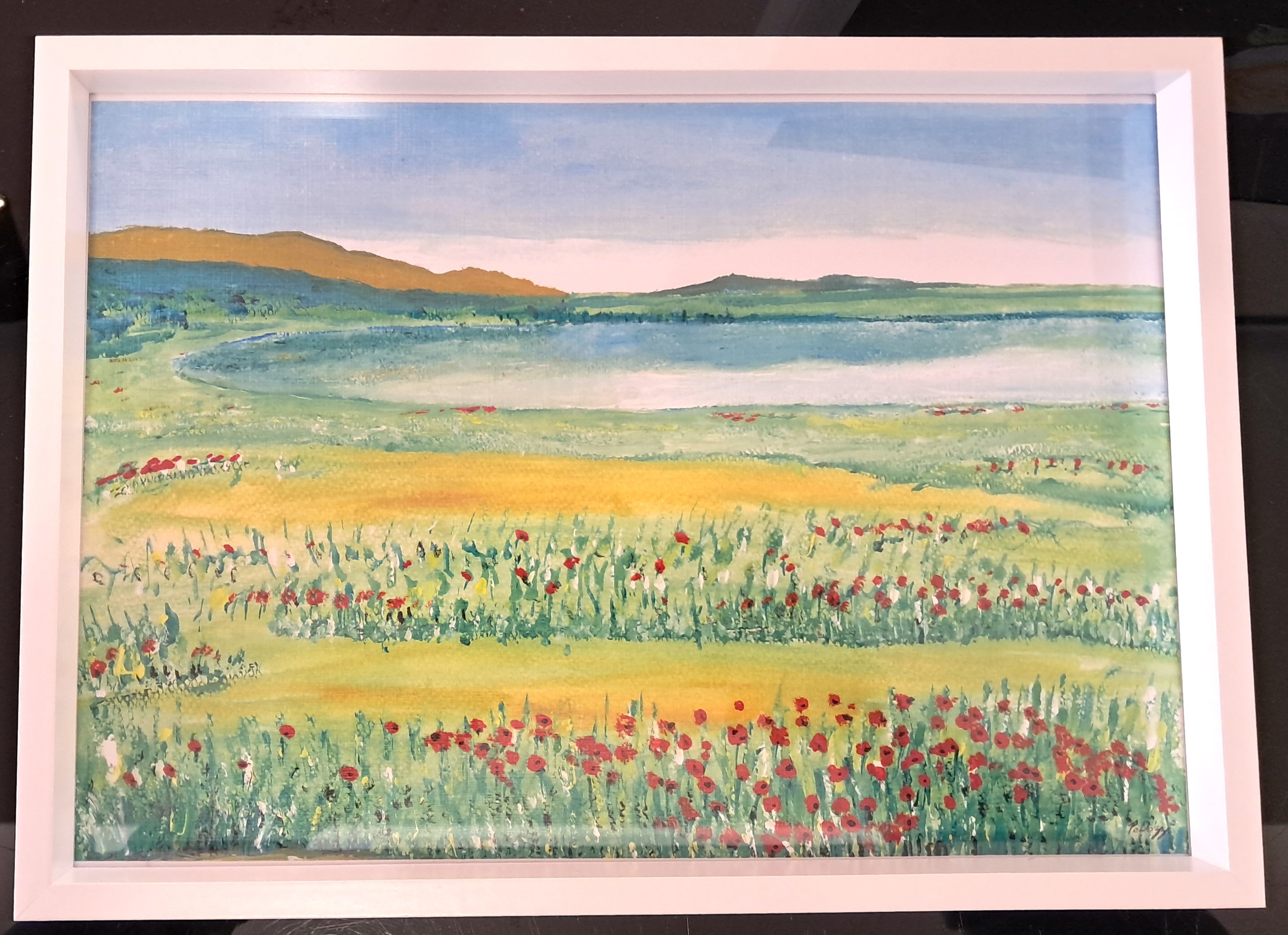 Lakeside Poppies
