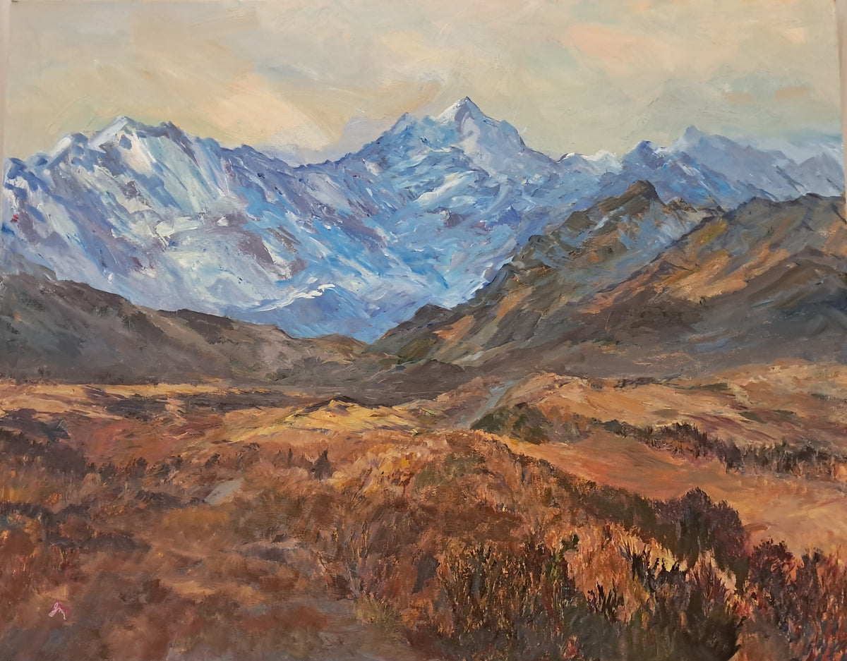 Aoraki, Mt Cook Track