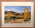 Cob Cottage Molesworth