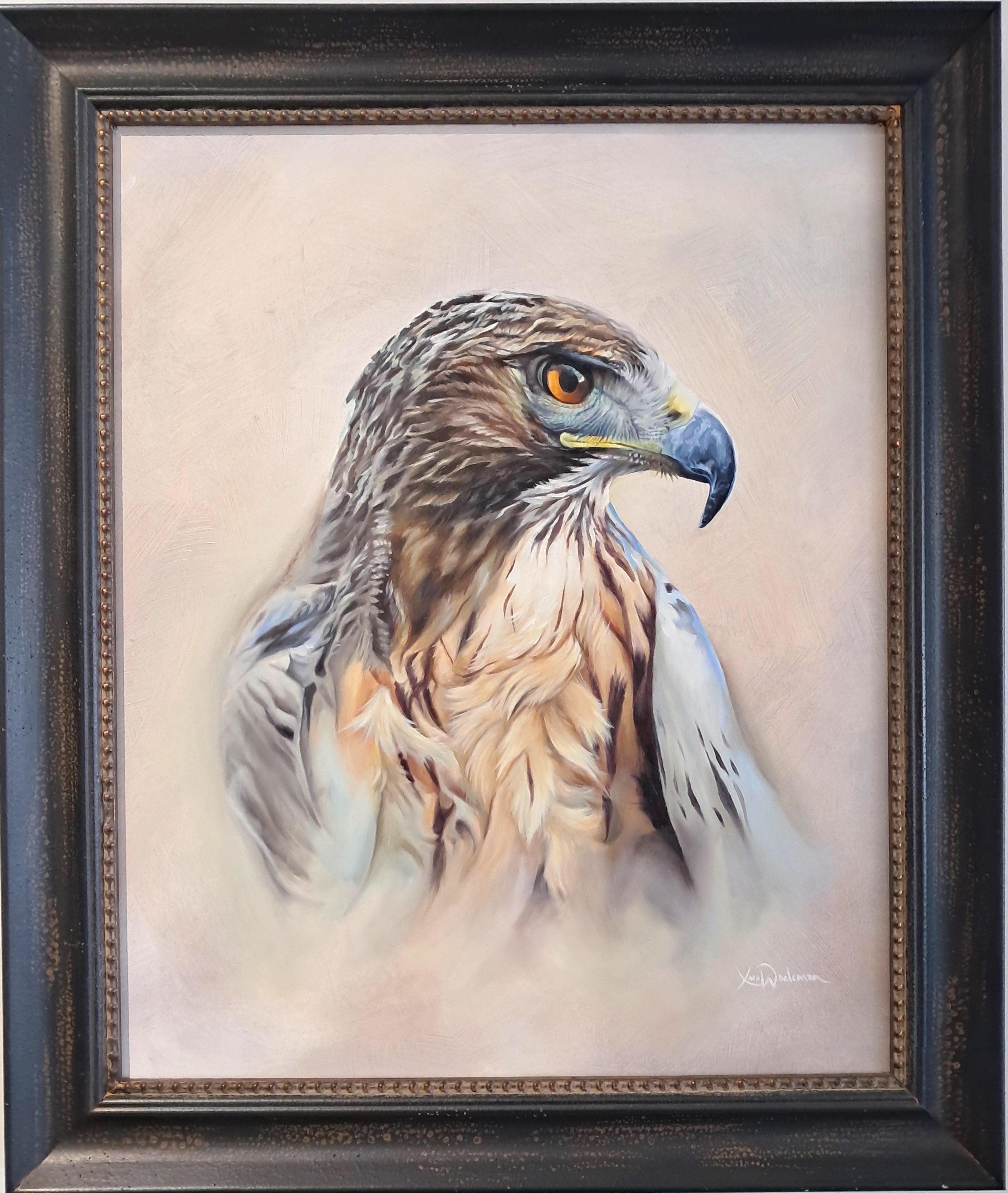 Bonelli's Eagle
