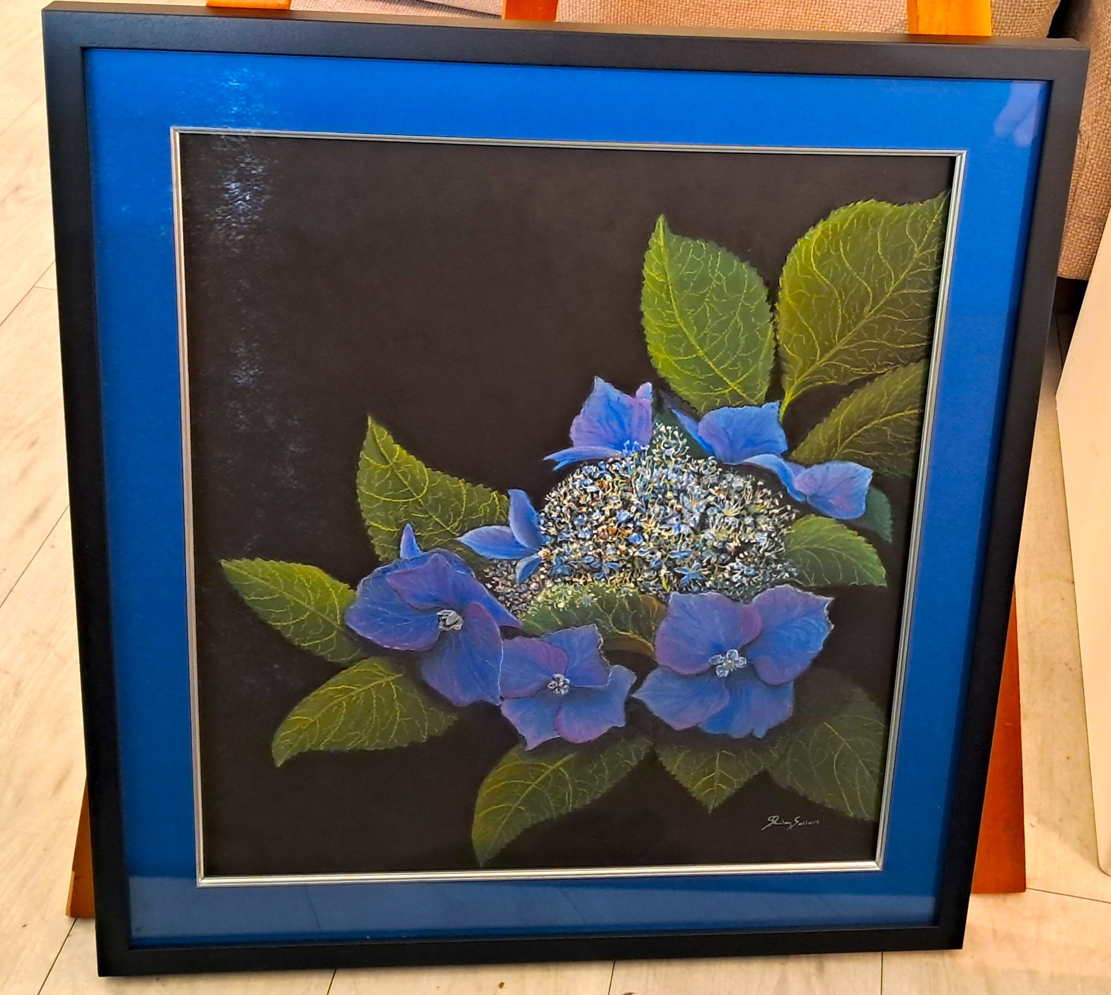 Hydrangea