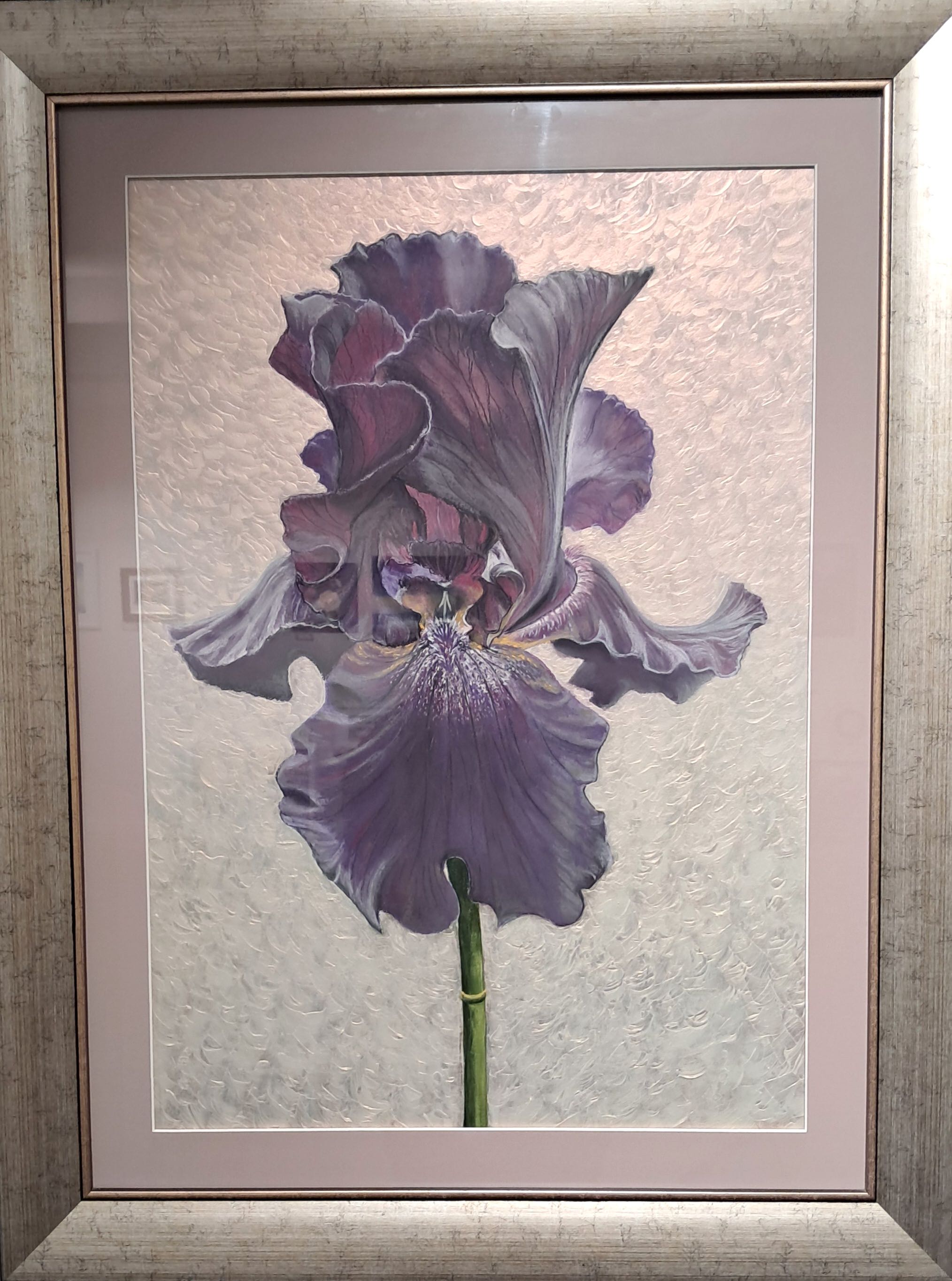 Iris