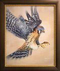 Kestrel