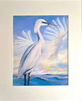 Kotuku - Mounted Giclee 4/100