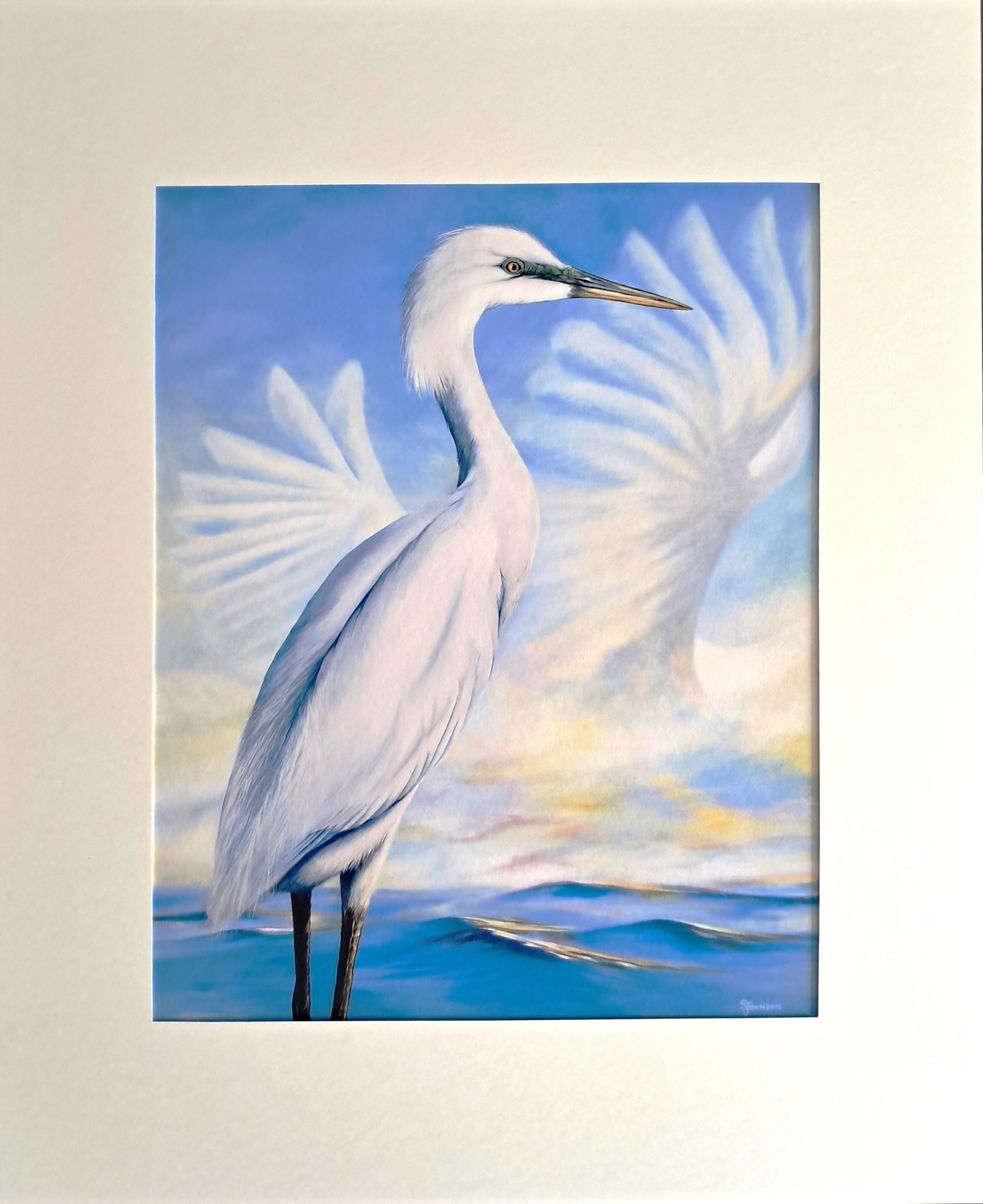 Kotuku - Mounted Giclee 4/100