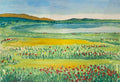 Lakeside Poppies