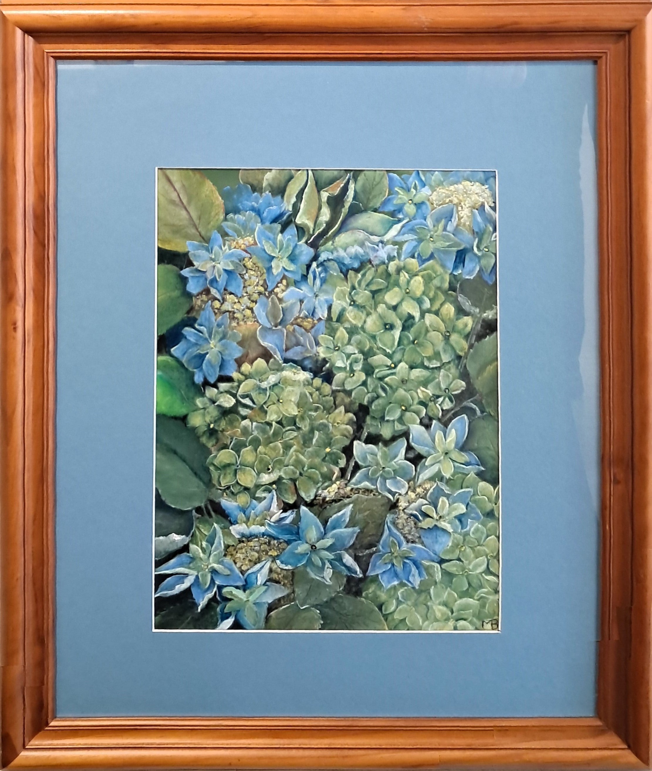 Limelight Hydrangeas