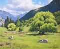 Spring Willow Trees