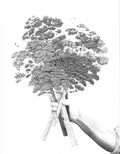 Gift of the Forest - Giclee Print