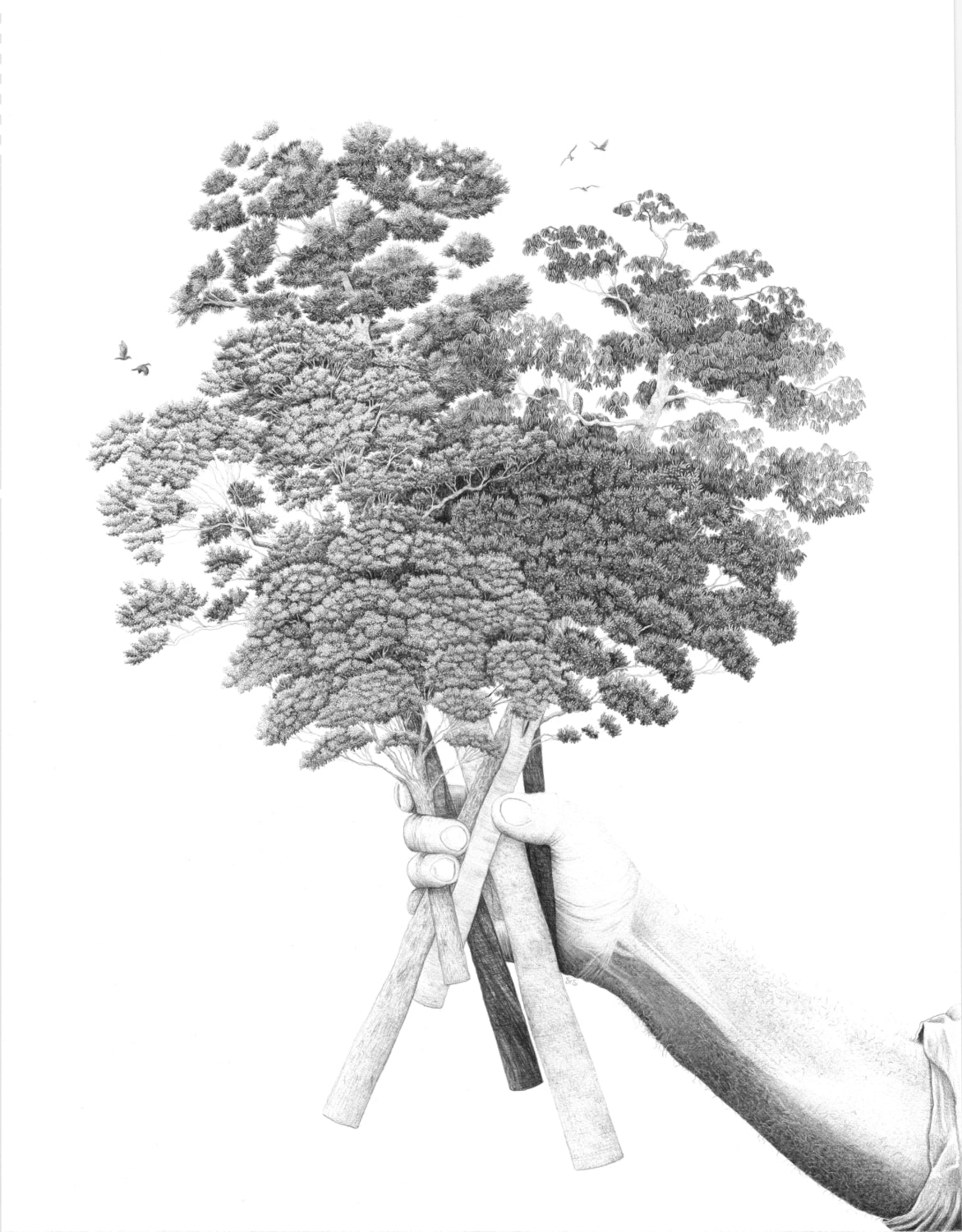 Gift of the Forest - Giclee Print