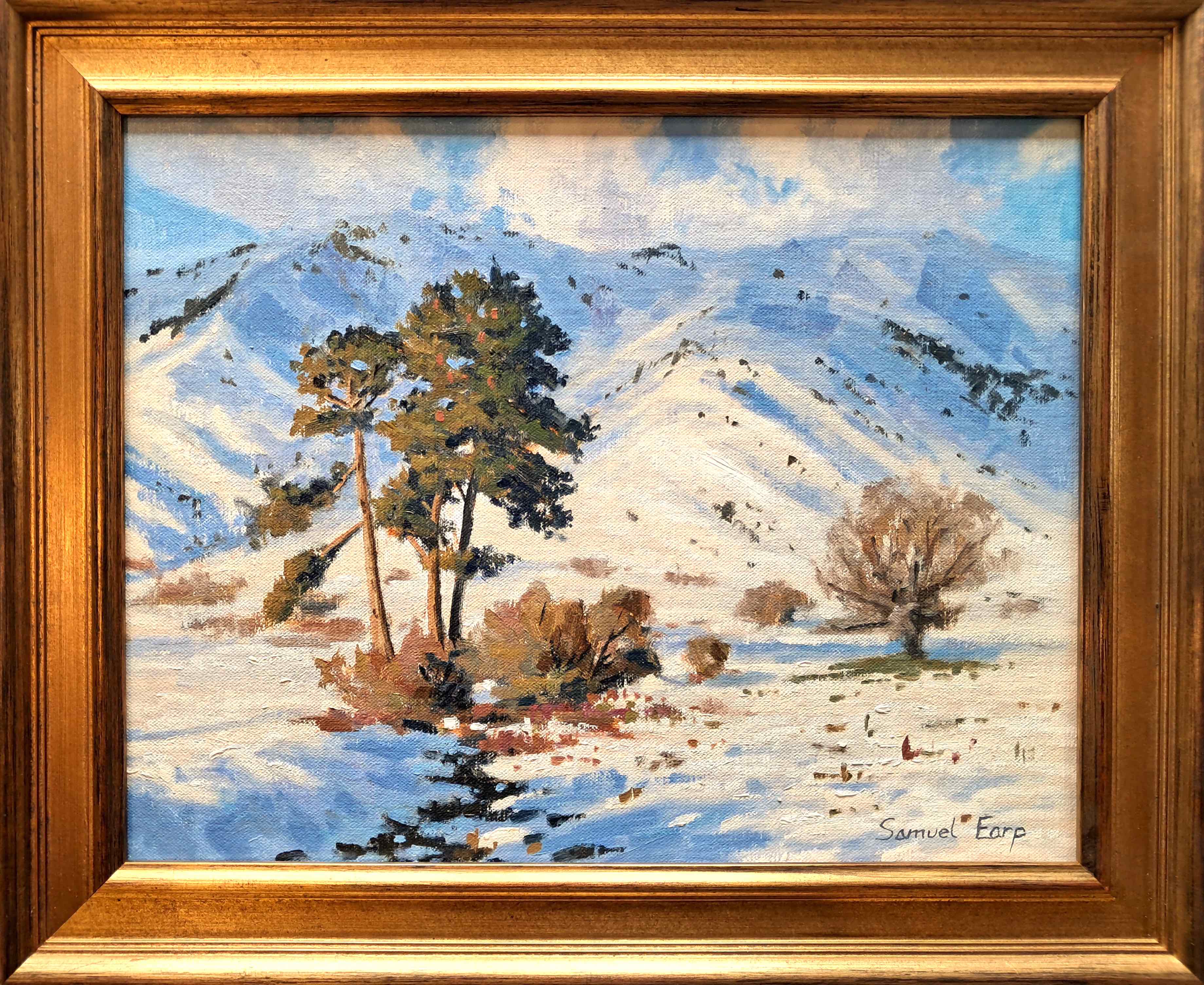 Snow Pine Trees, Crown Terrace